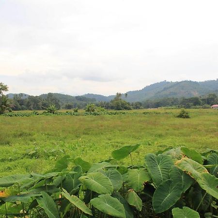 Desa Terrace Motel Langkawi Dış mekan fotoğraf
